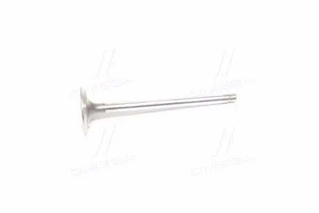 96182806 Клапан впускной (пр-во GM) GM / OPEL подбор по vin на Brocar
