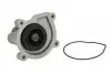 Насос водяний (пр-во SKF) VKPC 81501