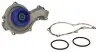 Водяной насос (Пр-во SKF) VKPC 81402