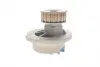 VKPC85206 Водяной насос (Пр-во SKF) SKF підбір по vin на Brocar