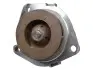 FT57153 Водяна помпа Fiat Bravo II/Doblo/Ducato 1.6D MultiJet/2.0D MultiJet/Opel Astra H/J/Insignia/Zafira 1.9CDTI/2.0CDTI 09.04- FAST підбір по vin на Brocar