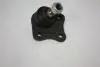 110055310 Кульова опора права Audi A3 Seat Leon, Toledo II Skoda Octavia I VW Bora, Golf IV, New Beetle 1.4-2.8 09.96-12.10 AUTOMEGA підбір по vin на Brocar