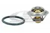 Термостат Nissan Juke/Tiida/Qashqai/X-Trail/Renault Fluence/Koleos/Laguna III/Megane III 1.6/1.8/2.0 2003- 81619