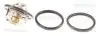 Термостат Nissan Juke/Tiida/Qashqai/X-Trail/Renault Fluence/Koleos/Laguna III/Megane III 1.6/1.8/2.0 2003- 86207688