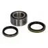К-кт подшипника ступицы колеса Mitsubishi Carisma, Colt, Lancer 1.6 92-03 / Proton Persona 94-96 44-15008