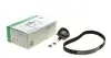 530020210 Комплект ГРМ Audi A4/A6/A8 97-06/Skoda Superb 01-08/VW Passat 2.5TDI 98-05 (24x87z) INA підбір по vin на Brocar