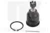 Шаровая опора перед. нижняя Honda Accord IV/V/VI/Rover 600 1.6i-3.0 V6 24V 92-04 5042603