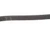 4PK895SF Ремень поликлиновой BMW 3 (E46) 01-05, X3 (E83) 04- Fiat Stilo (192) 01-08 GATES підбір по vin на Brocar