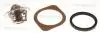 Термостат Nissan Juke/Micra/Note/Tilda Renault Laguna III/Megane III 07- 862018388