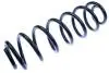 Пружини зад. VW Golf Plus/Jetta III/Golf V 1.6TDI/1.9TDI/2.0TDI 01.05- D700063
