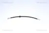 Гальмівний шланг зад. Renault Kangoo 1.2/1.4/1.6/1.5D/1.9D 97-07 815025220