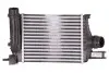 Інтеркулер Dacia Duster Renault Captur, Clio IV 1.2/1.5D 11.12- 30375