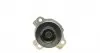1751 Помпа воды Renault Trafic/Master/Laguna/Megane 2.0-2.3-3.0dCi/Opel Vivaro/Movano 2.0-2.3CDTI 05- AIRTEX підбір по vin на Brocar