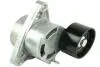 Натягувач Ременя Micro-V RENAULT Master 98- Кпл 2.2 / 2.5 Dci FT44620