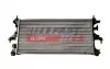Радіатор охолодження Fiat Ducato 3.0D 06- FT55263