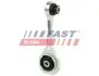 FT52599 Подушка Двигателя Зад Рычаг 1.6 16v /1.5dci 98- FAST підбір по vin на Brocar