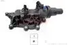 Термостат с корпусом Renault Kangoo/Megane II 1.6 16V 03- 1.880.716