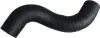 (→88624) Патрубок інтеркулера Ford Transit 2.4TDCi 06-14 88680