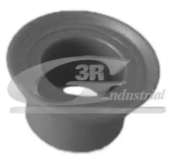 24607 Втулка КПП Renault Clio I/II, Kangoo, Megane, Logan 04- 3RG підбір по vin на Brocar