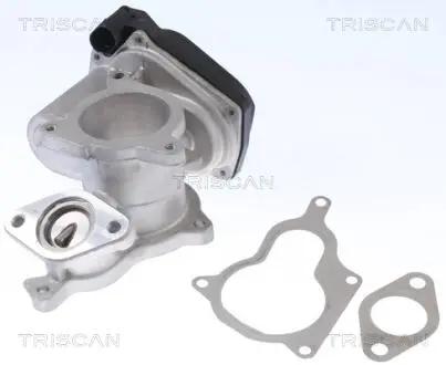 881329019 Клапан EGR Audi A4 (8EC), A6 (4F2) 2.0 TDI /16V 04- TRISCAN подбор по vin на Brocar