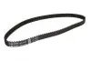 Ремень ГРМ Ford Escort 1.8TD 91-03 (22x116) 5451XS