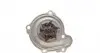 1680 Помпа води Nissan Micra III 1.0 16V/1.2 16V/1.4 16V 03-10/Примітка 1.4 06-12 AIRTEX підбір по vin на Brocar