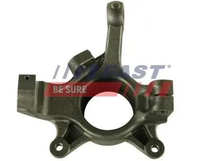 FT13545 Цапфа перед. ступиці прав. 24mm Renault Master 98- FAST підбір по vin на Brocar