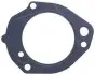 Прокладка насоса топливного MB Vario 4.3D 96- (заменен на 002.071) 002.070