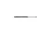 100016310 Амортизатор капота VW Polo Liftback 10.01-11.09 AUTOMEGA підбір по vin на Brocar