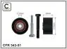 54x10x30 Ролик (пластик) Fiat/Opel 1.9D/1.9CDTI 343-51