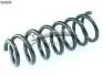 Пружини передні BMW X5 E70 3,0 D/3,0 SI 07- 14101603