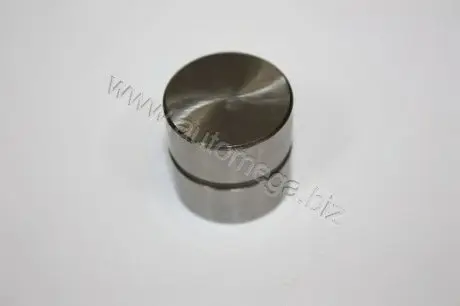 301090309058F Штовхач гідравлічний Audi (A3,A4,A6,A8), VW (Golf IV, Passat) (впуск. клапан AUTOMEGA підбір по vin на Brocar