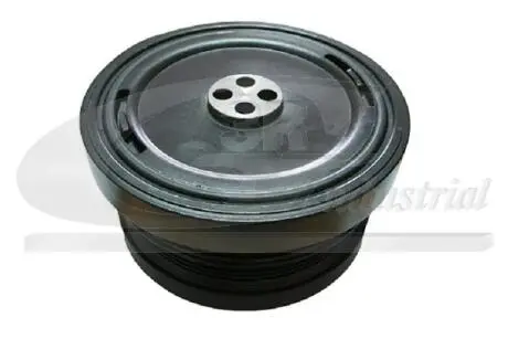 10103 Шків к / валу BMW 3/5 - X5 2.5d/3.0d 98- 3RG підбір по vin на Brocar