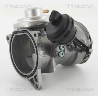 881329070 Клапан EGR VAG Touareg 2.5 R5 TDI 03- TRISCAN підбір по vin на Brocar