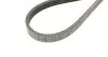 4PK867ELAST Ремінь генератора BMW 5 (E60)/X3 (E83/)X5 (E70)/X6 (E71/E72) 04-13 CONTITECH підбір по vin на Brocar