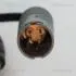 818011101 Датчик ABS перед Л / П BMW 3 E90/E91 TRISCAN підбір по vin на Brocar