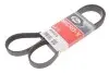 6PK1413 Ремень генератора Ford Connect 1.8TDCI GATES підбір по vin на Brocar
