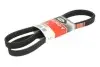 Ремінь генератора Audi/BMW/Chevrolet/MB/Opel 6PK1873