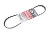 4PK836SF Ремень генератора BMW 3 (E36) 95-00 GATES підбір по vin на Brocar