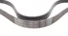 7PK1605 Ремень генератора BMW 5 (E34)/7 (E32/E38)/8 (E31) 3.0i/4.0i 92-/Land Rover Discovery 2.5TDI CONTITECH підбір по vin на Brocar