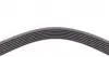 7PK1605 Ремень генератора BMW 5 (E34)/7 (E32/E38)/8 (E31) 3.0i/4.0i 92-/Land Rover Discovery 2.5TDI CONTITECH підбір по vin на Brocar