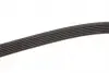 6PK1310 Ремінь поліклін. 6PK1310 (вир-во Gates) GATES підбір по vin на Brocar