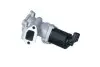 Клапан EGR Fiat Doblo/ Opel Astra  1.3 D 05- 48331