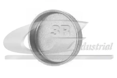 84013 Заглушка ГБЦ 21mm 3RG подбор по vin на Brocar