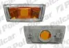 Указатель поворота боковой 25B119E