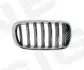 Решітка радіатора BMW X5 (F15), 13 - 18 PBM07105GAR