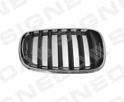 BM07053GAR Решітка радіатора BMW X5 (E70), 10.06 - 04.10 SIGNEDA підбір по vin на Brocar