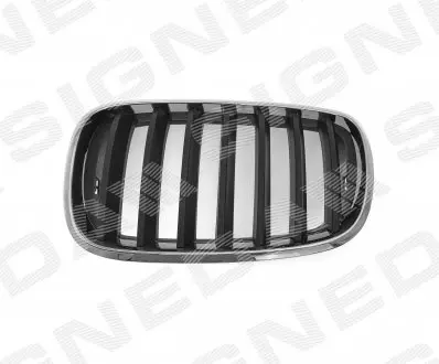 BM07053GAL РЕШЕТКА РАДИАТОРА BMW X5 (E70), 10.06 - 04.10 SIGNEDA підбір по vin на Brocar