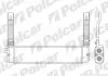 3207L81X Радиаторы масла POLCAR підбір по vin на Brocar