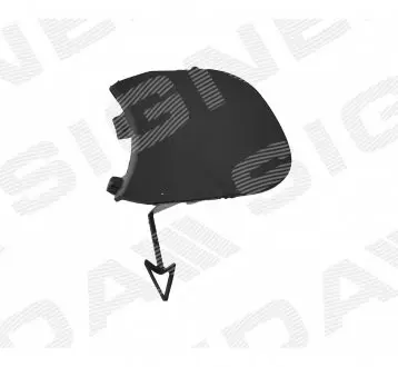 PFD99196CA ЗАГЛУШКА ГАКА SIGNEDA підбір по vin на Brocar